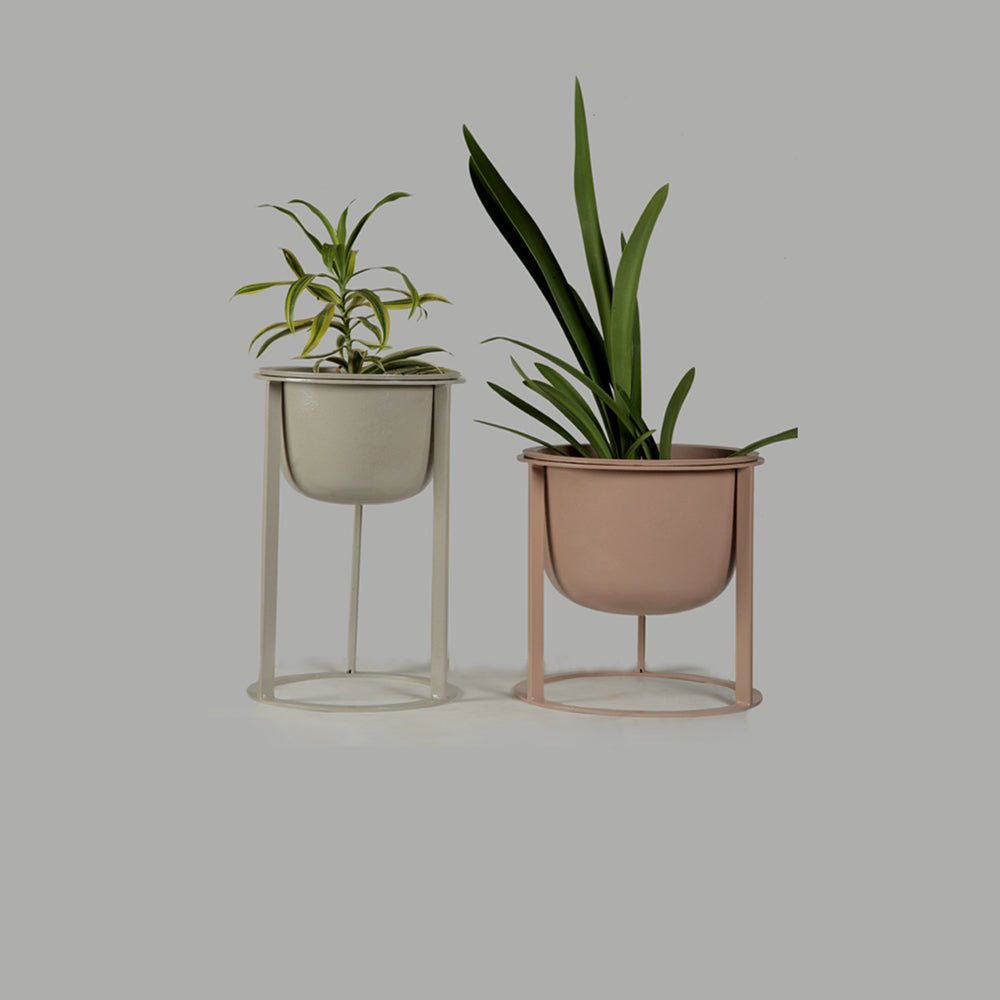 Pot Holders - Set Of 2
