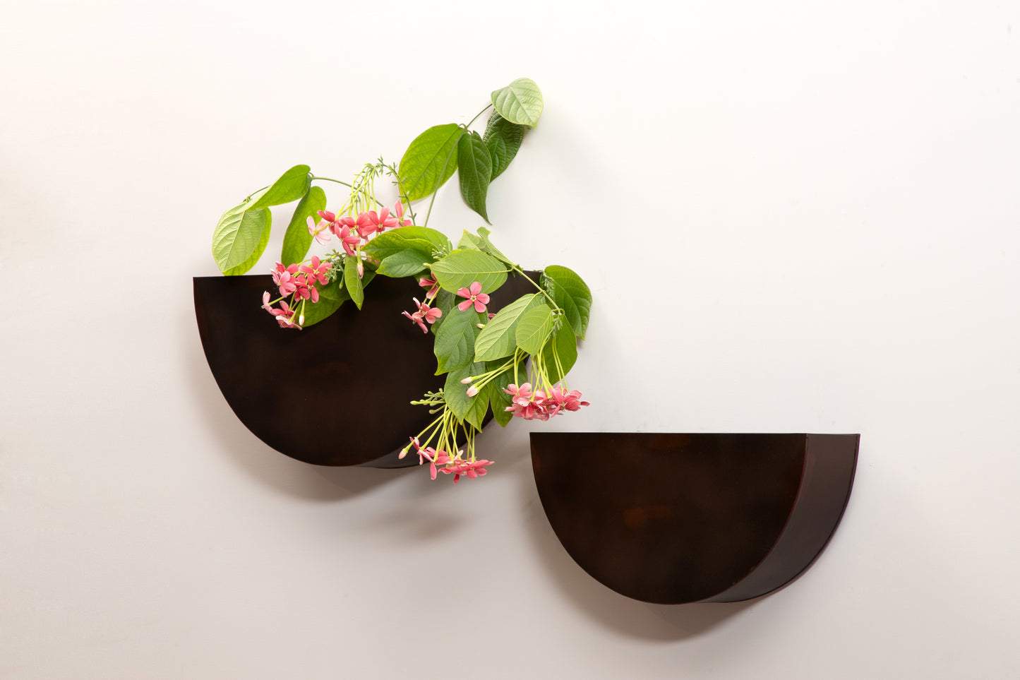 Semi Circle Wall Planters - Set Of 2 (Brown)