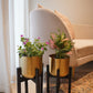 Set of 2 Mid-Century Gold Planters