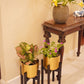 Set of 2 Mid-Century Gold Planters