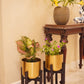 Set of 2 Mid-Century Gold Planters