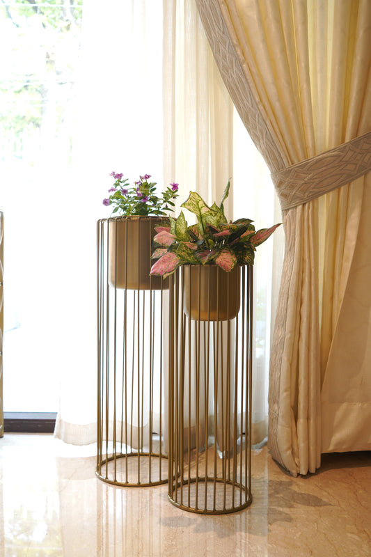 Set of 2 Metal Wired Planters