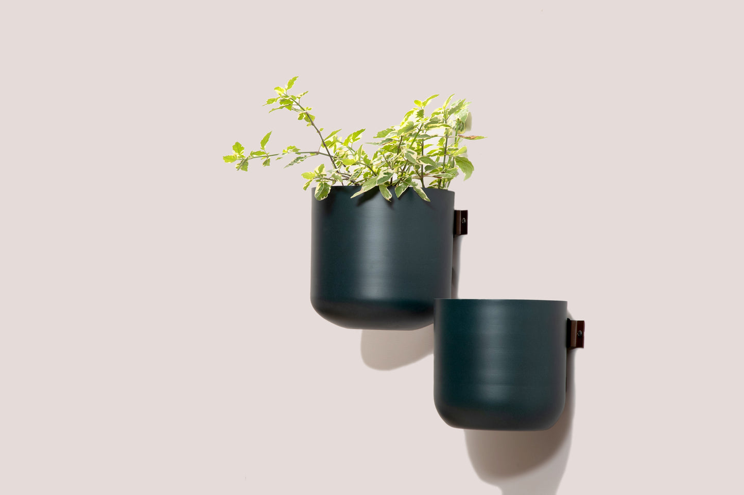 Wall Planters - Set Of 2