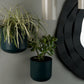 Wall Planters - Set Of 2