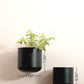 Wall Planters - Set Of 2