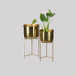 Planters With Stand - Set of 2