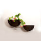 Semi Circle Wall Planters - Set Of 2 (Brown)