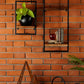 Wall Shelves - Set Of 2