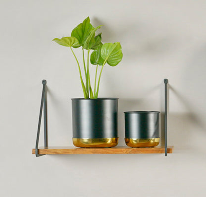 Accent Wall Shelves
