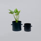 Two Plant Holders (Blue)