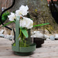 Metal & Glass  Lantern (Olive Green)