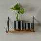 Planters - Set Of 3 (Black)