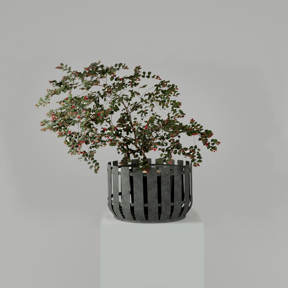 Large Outdoor Planters - Set Of 2