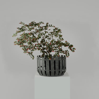 Large Outdoor Planters - Set Of 2