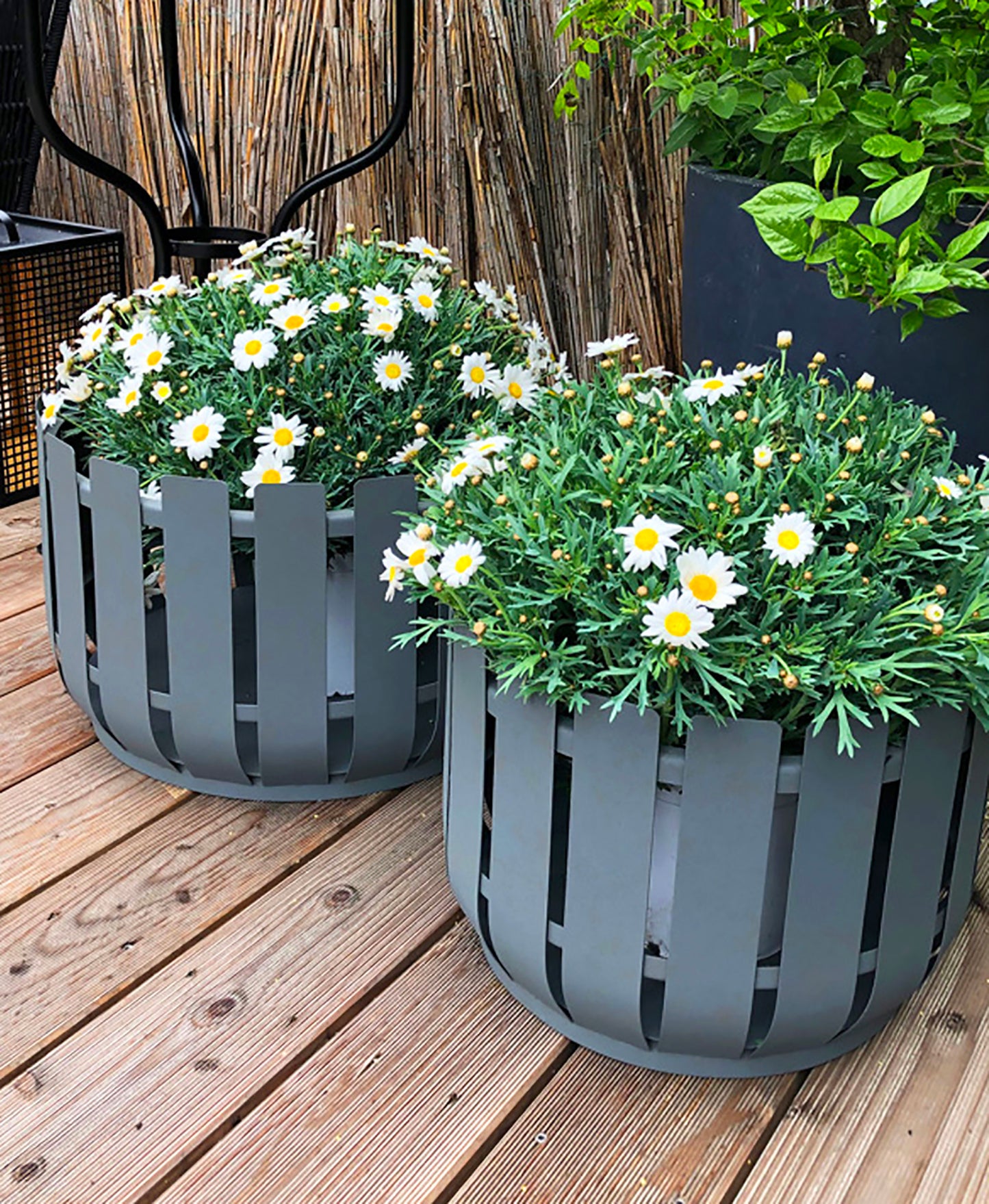 Large Outdoor Planters - Set Of 2