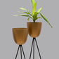 Tripod Plant Holder - Set Of 2