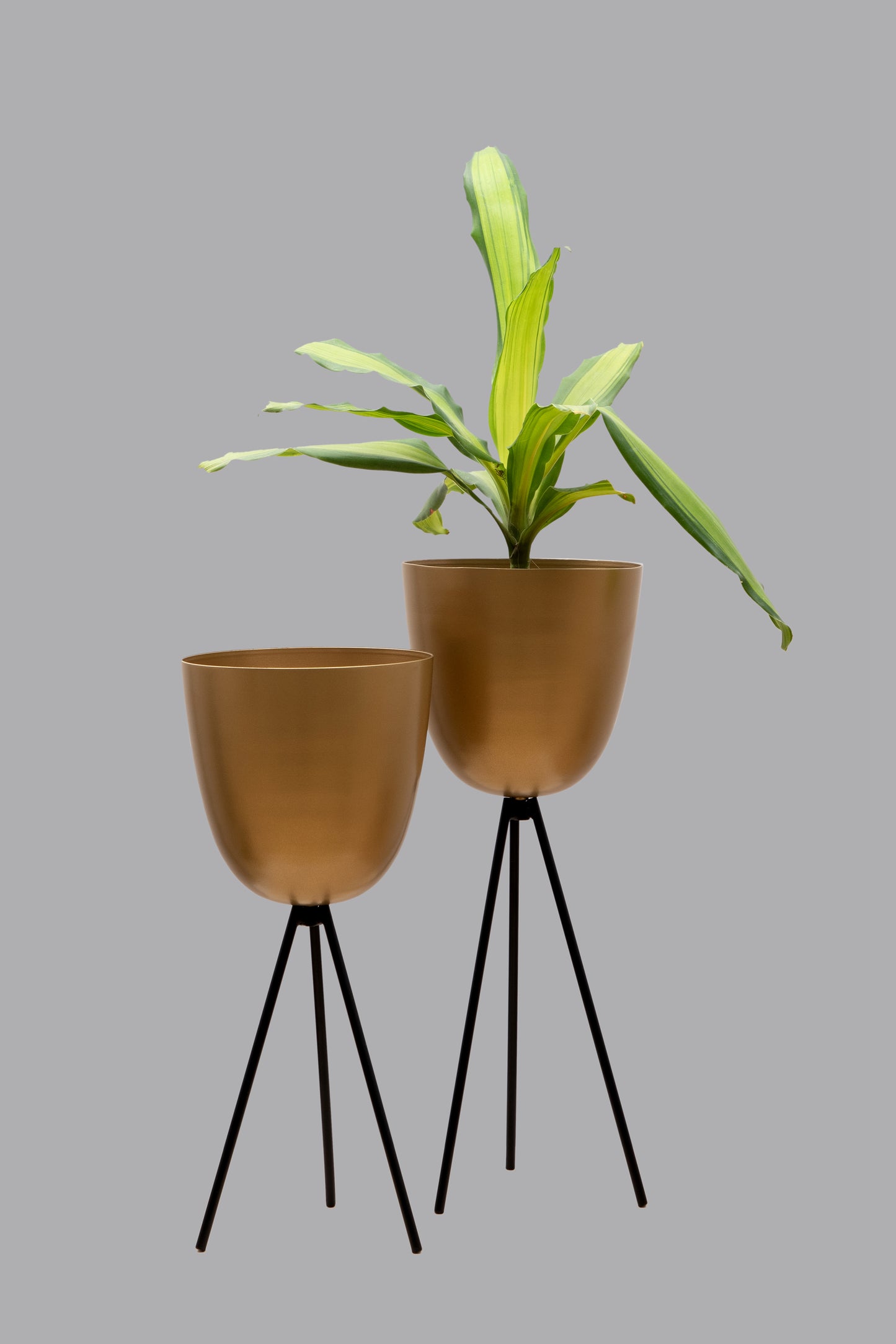 Tripod Plant Holder - Set Of 2