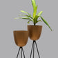 Tripod Plant Holder - Set Of 2