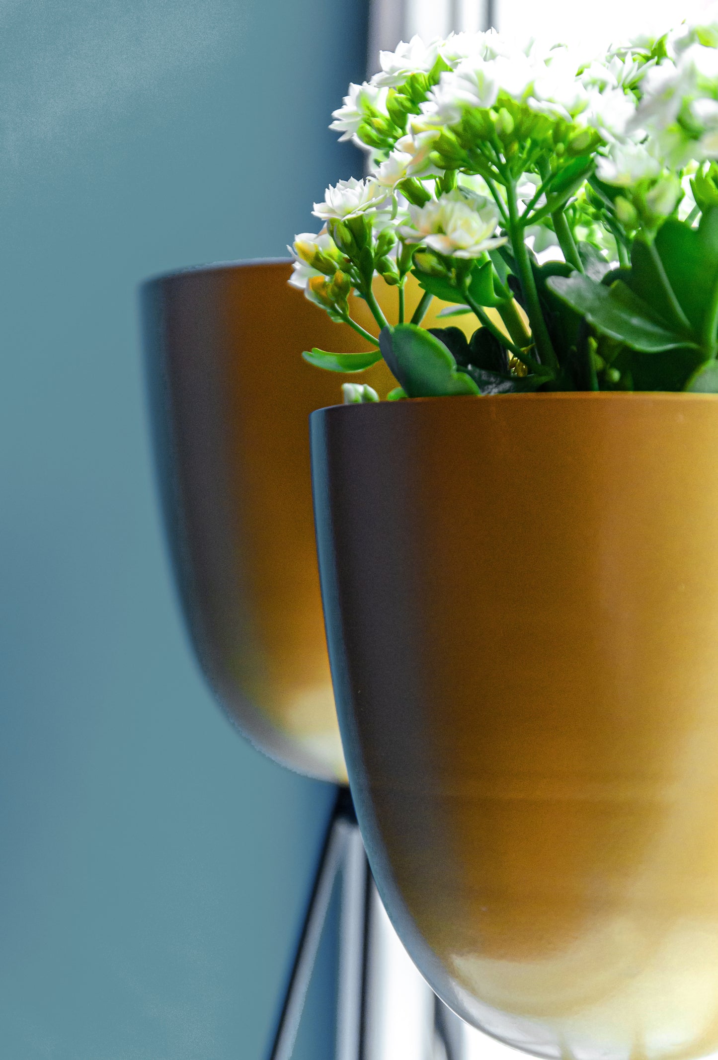 Tripod Plant Holder - Set Of 2