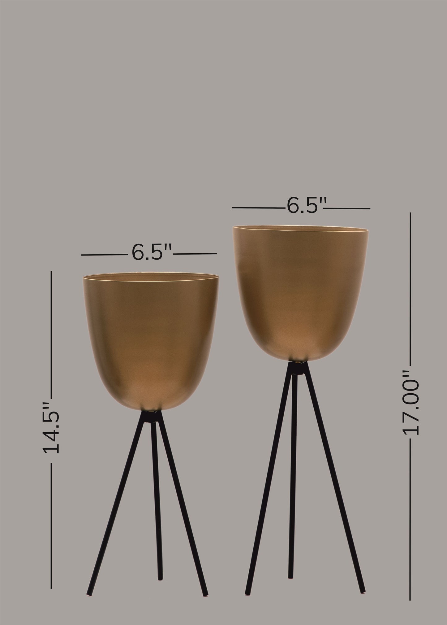 Tripod Plant Holder - Set Of 2