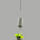 Hanging Plant Holders (Grey)