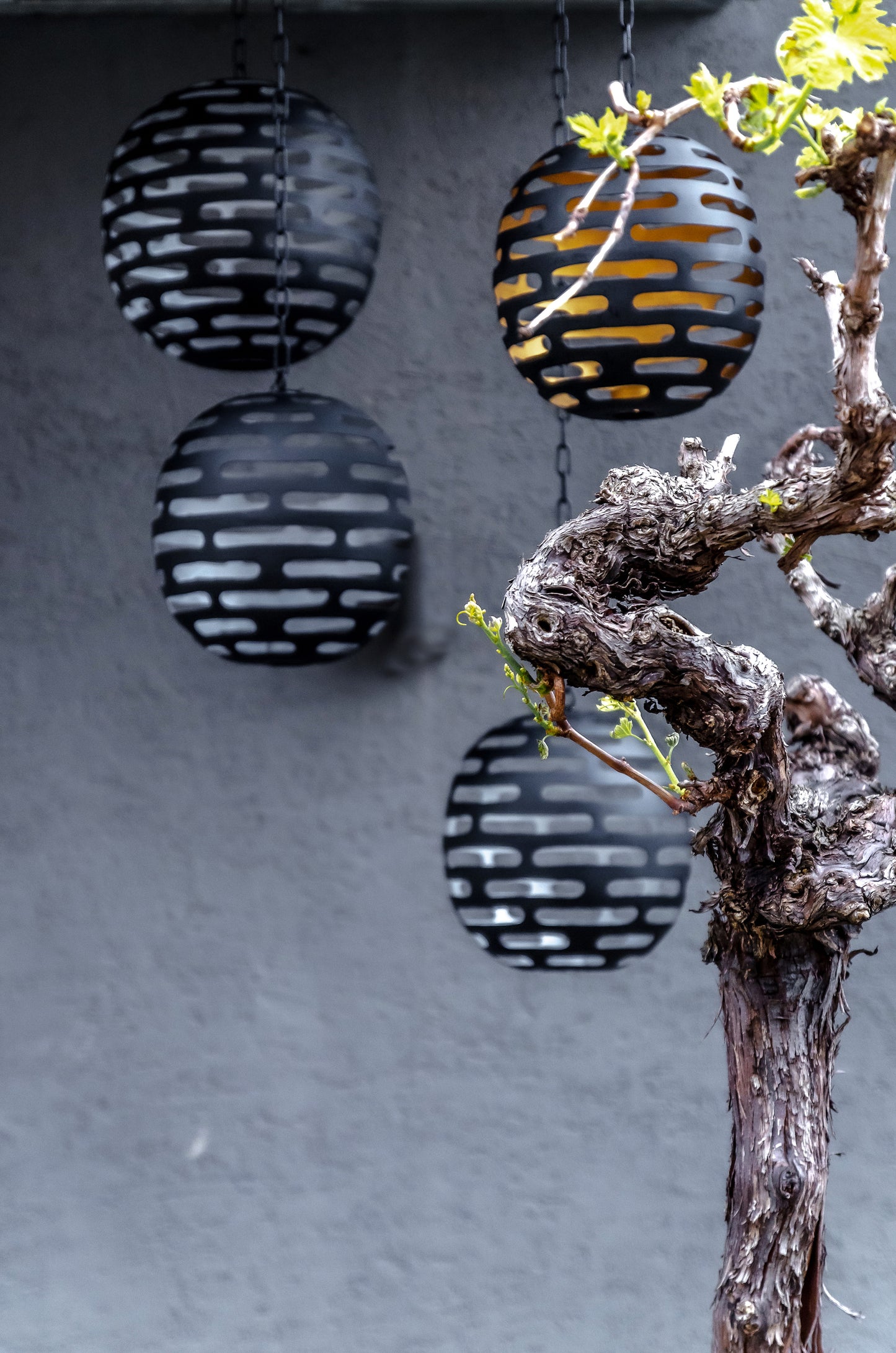 Small Hanging Globe (GD)