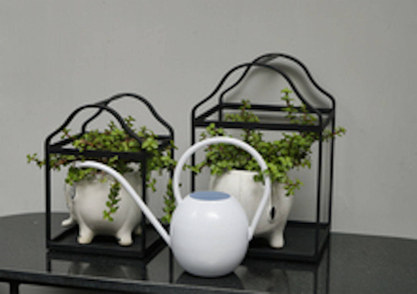 Mini Watering Can (White)